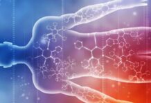 Electrolitos: aliados del cuerpo hasta que se abusa de ellos
