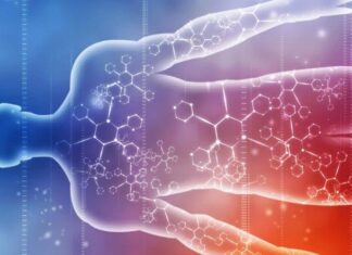 Electrolitos: aliados del cuerpo hasta que se abusa de ellos