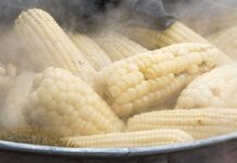 “La Gran Elotiza” en Parque México: ortodoncia y antojitos sin miedo GUM La Gran Elotiza