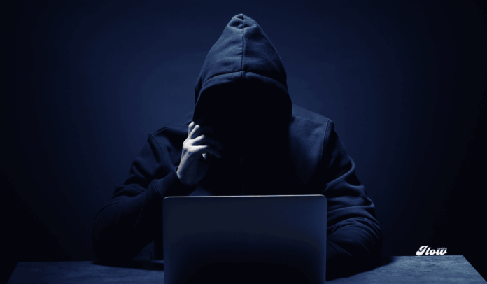 fraudes por internet