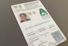 Licencia permanente en CDMX desaparecerá en 2027: esta es la fecha límite para tramitarla licencia