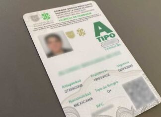 CDMX extiende el plazo para obtener la licencia de conducir permanente: así podrás tramitarla durante todo 2026