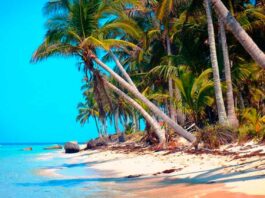 CDMX lanzará campaña de espectaculares para atraer turismo al norte de Veracruz