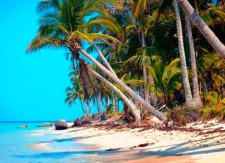 CDMX lanzará campaña de espectaculares para atraer turismo al norte de Veracruz