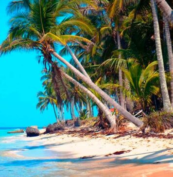 CDMX lanzará campaña de espectaculares para atraer turismo al norte de Veracruz