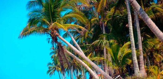 CDMX lanzará campaña de espectaculares para atraer turismo al norte de Veracruz