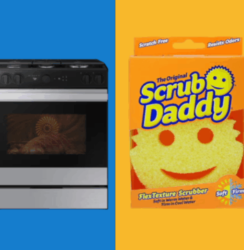 Samsung y Scrub Daddy reinventan la experiencia en la cocina mexicana scrub daddy samsung