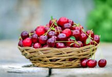 ¿El jugo de cereza ácida ayuda a dormir? Esto dicen los expertos sobre su efectividad y posibles riesgos