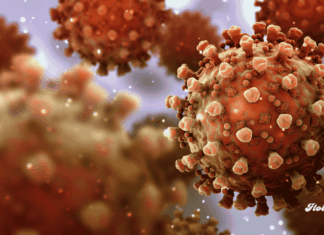 Faringitis estreptocócica en niños: síntomas, diagnóstico y tratamiento oportuno para evitar complicaciones virus faringitis