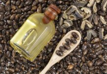 Cómo utilizar aceite de ricino y yema de huevo en el cabello para sellar las puntas, según expertos