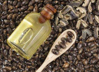 Cómo utilizar aceite de ricino y yema de huevo en el cabello para sellar las puntas, según expertos