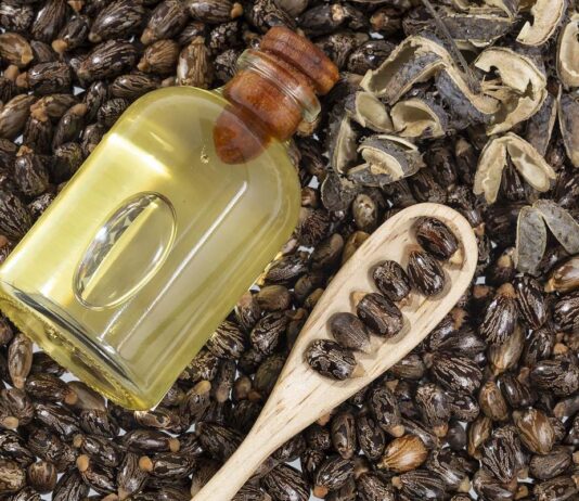 Cómo utilizar aceite de ricino y yema de huevo en el cabello para sellar las puntas, según expertos