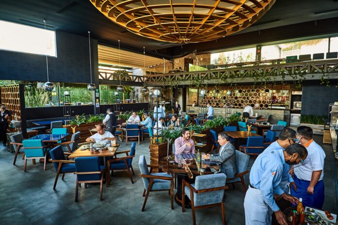 Lugares imperdibles para recuperarse después de las fiestas en la CDMX