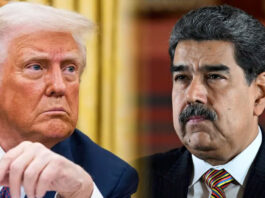 Trump designa al régimen de Venezuela como «organización terrorista» Trump designa al régimen de Venezuela como organización terrorista