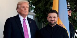 Trump, Putin y Zelenski: diplomacia clave en Florida para el conflicto en Ucrania Trump, Putin y Zelenski: diplomacia clave en Florida para el conflicto en Ucrania