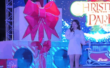 Christmas in the Park regresa a Six Flags México: la Navidad más brillante de 2025 christmas in the park flow