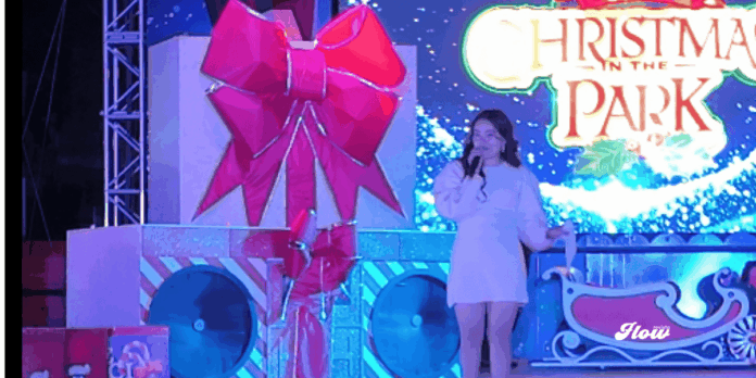 christmas in the park flow