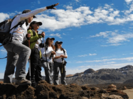 Senado aprueba celebrar el 21 de febrero como el Día Nacional del Guía de Turismo