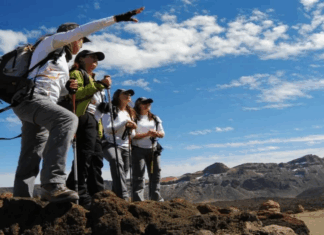 Senado aprueba celebrar el 21 de febrero como el Día Nacional del Guía de Turismo