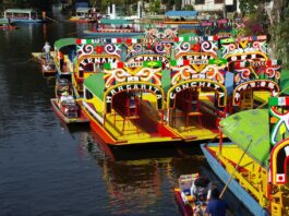 Xochimilco exige más presupuesto para obras y turismo de cara al Mundial 2026: lo que anticipan