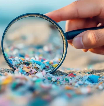 Microplásticos en alimentos: la amenaza invisible para la salud pública microplasticos estuidio mundial