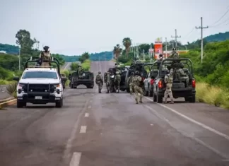 Analistas advierten que la narcoviolencia en México no se frenó, solo cambió de forma narcoviolencia en mexico