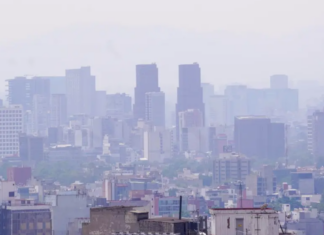 Sigue la contingencia ambiental en CDMX y Edomex: qué autos no circulan este 9 de enero