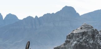 Foil Baja California Sur 2026 consolida al Mar de Cortés como escenario deportivo Foil Baja California Sur