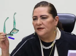 Corte mantiene facultades de Taddei en el INE tras desechar último recurso Guadalupe Taddei