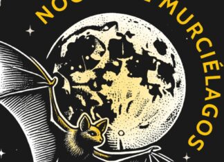 Noche de Murciélagos 2026 en Xochimilco: fecha, actividades y por qué es clave para el ambiente Noche de Murciélagos 2026 en Xochimilco