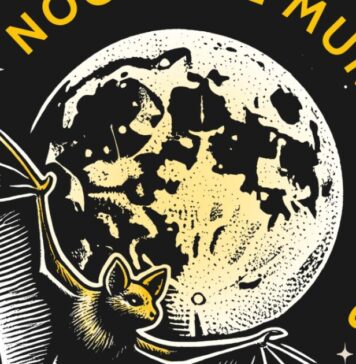Noche de Murciélagos 2026 en Xochimilco: fecha, actividades y por qué es clave para el ambiente Noche de Murciélagos 2026 en Xochimilco