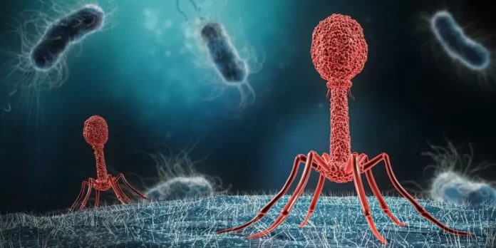 bacterias resistentes a los antibióticos