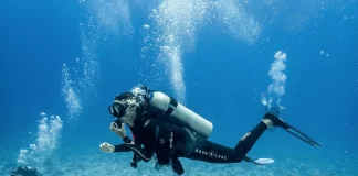 Buceo en Cozumel: destino mundial que atrae viajeros de todo el planeta buceo cozumel mexico