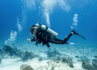 Buceo en Cozumel: destino mundial que atrae viajeros de todo el planeta buceo cozumel mexico