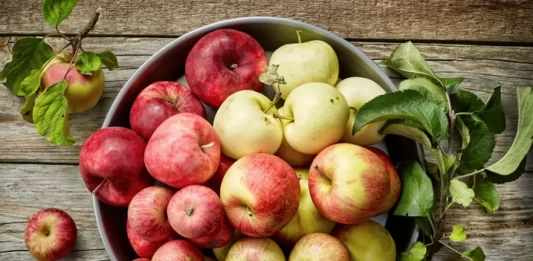 El hábito matutino con manzana que gana atención por su impacto en la salud digestiva y cardiovascular receta manzana hervida