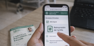 Reimprime tu cartilla del IMSS en minutos: así puedes hacerlo por internet