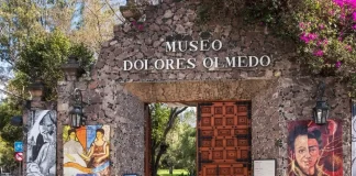 El Museo Dolores Olmedo reabre sus puertas El Museo Dolores Olmedo reabre sus puertas