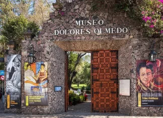 El Museo Dolores Olmedo reabre sus puertas El Museo Dolores Olmedo reabre sus puertas