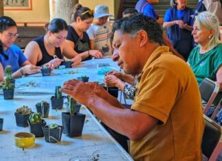 Festival de Cactáceas 2026 en Xochimilco Festival de Cactáceas 2026 en Xochimilco