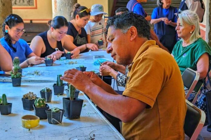 Festival de Cactáceas 2026 en Xochimilco