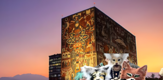 ¿Llegaron a México? Therians organizan convivencia en CU Llegaron a México Therians organizan convivencia en CU