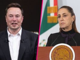 Sheinbaum analiza demandar a Elon Musk por ataque en X Sheinbaum analiza demandar a Elon Musk por ataque en X