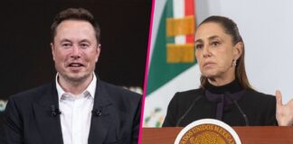 Sheinbaum analiza demandar a Elon Musk por ataque en X Sheinbaum analiza demandar a Elon Musk por ataque en X