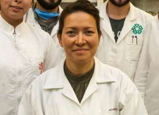 Mexicana elimina el VPH con terapia láser: el avance que podría cambiar la salud femenina