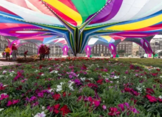 Frankenstein gratis en el Zócalo: cine al aire libre en el corazón de la CDMX