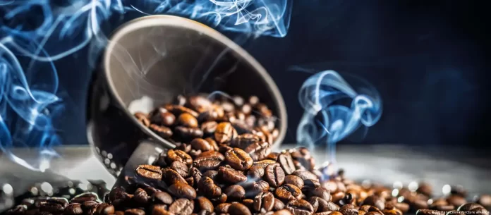 cafe y efectos cambio climatico