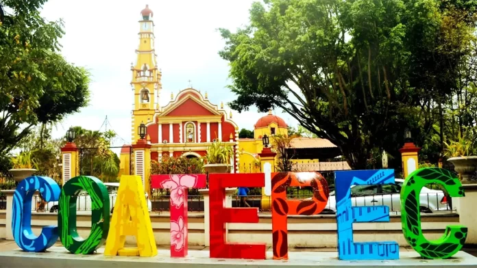 coatepec veracruz café