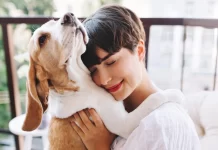 Mascotas redefinen el concepto de familia: 68% ya las considera un integrante más del hogar mascotas bienestar
