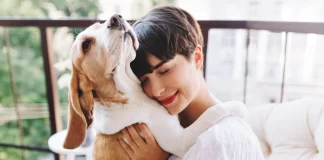 Bienestar animal impulsa la prevención y el cuidado responsable en febrero mascotas bienestar