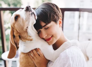 Bienestar animal impulsa la prevención y el cuidado responsable en febrero mascotas bienestar